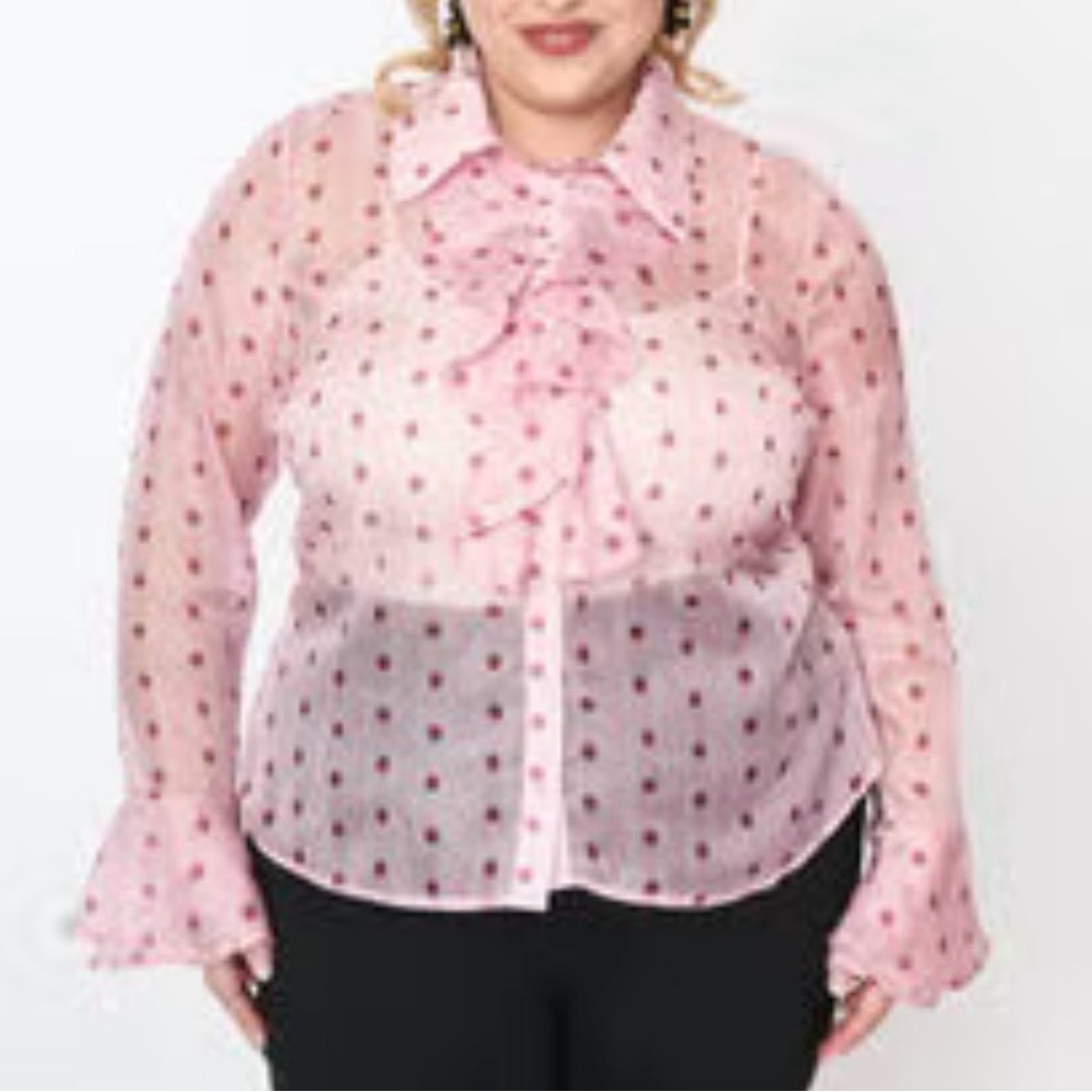 Smak Parlour Curve Pink Strawberries Stripe sheer Ruffle Blouse 2XL - Picture 2 of 7